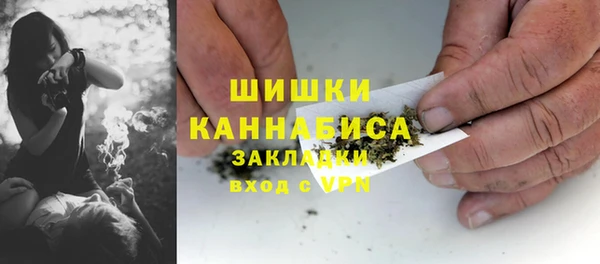 стаф Богородск