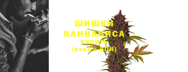 винт Белокуриха