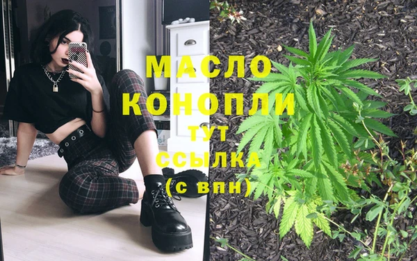 стаф Богородск