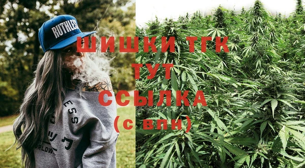 прущие грибы Беломорск