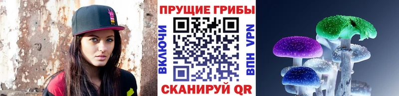 закладка  Светогорск  Галлюциногенные грибы ЛСД 